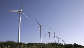 Sustentabilidad-NOTICIAS.POSITIVAS
