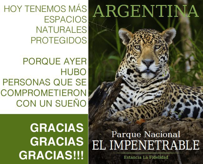 bannerLaFidelidad
