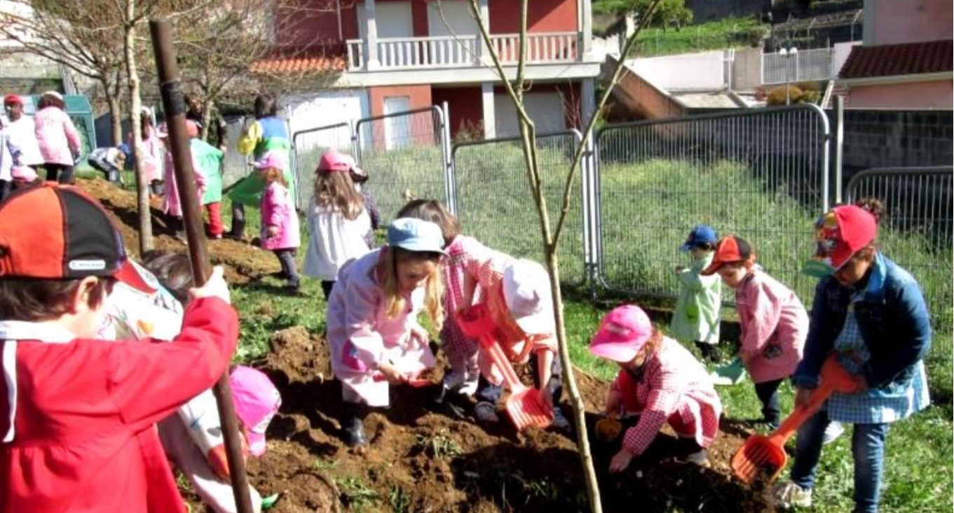 Vida Sana, Fundación Triodos y su premio Huertos Ecológicos Educativos