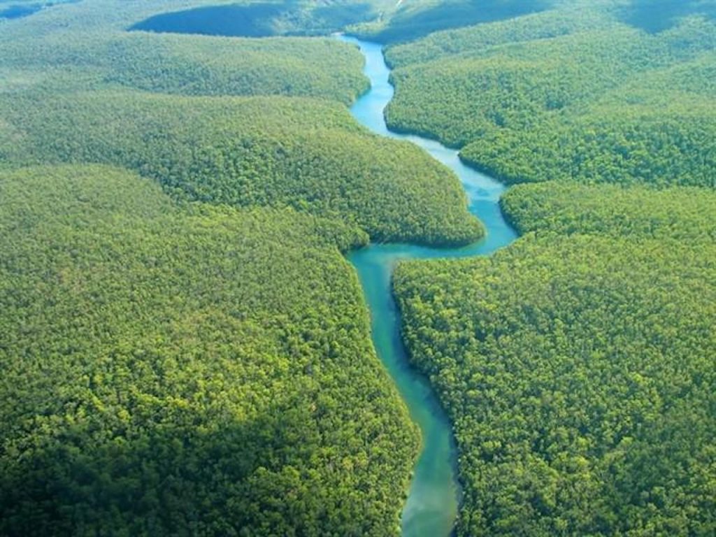 La Amazonía incendiada o el efecto dominó