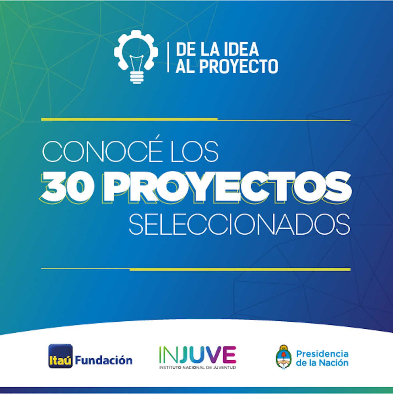 Los 30 proyectos del Concurso Fundación Itaú 