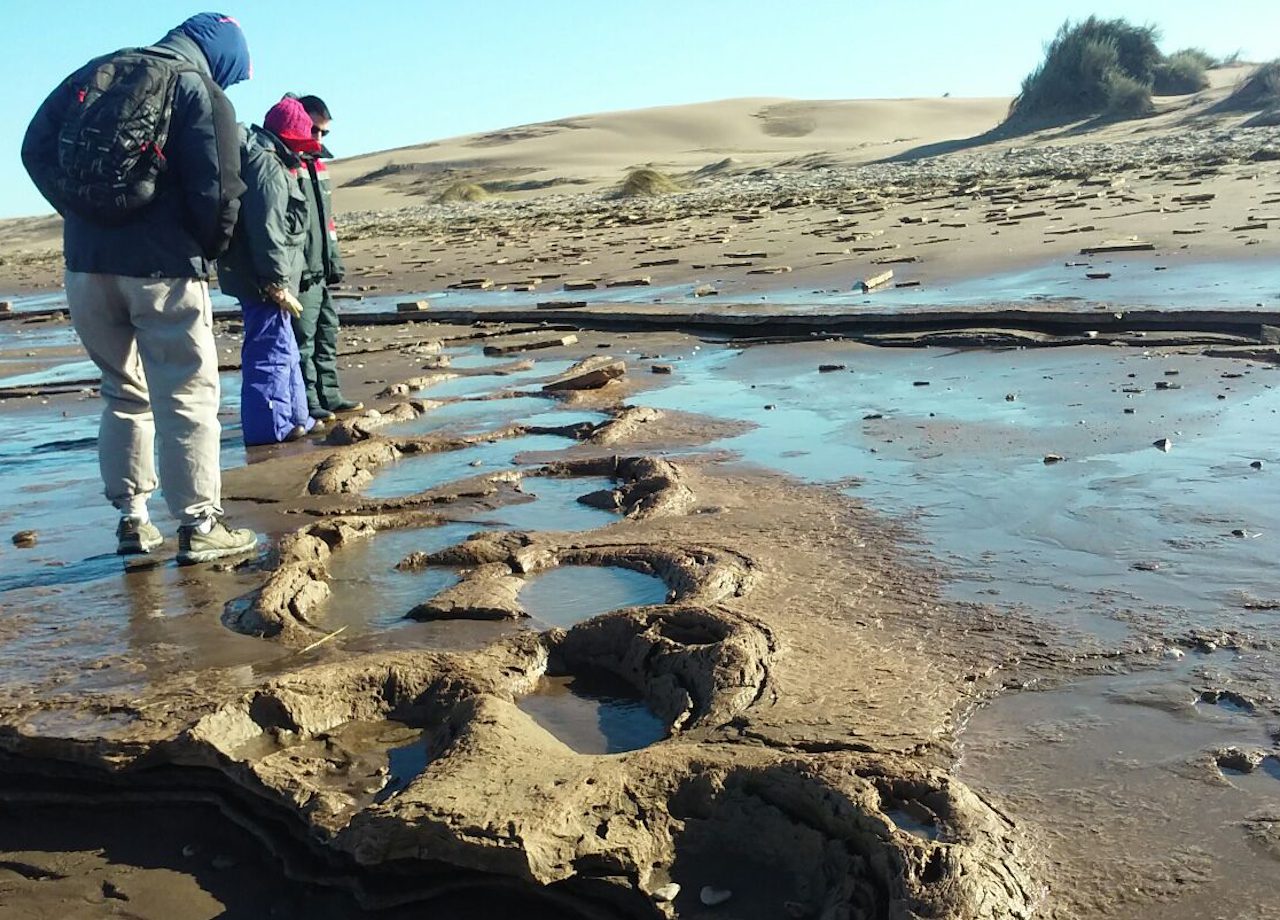 En Pehuen Co, los yacimientos de huellas fósiles atraen al turismo científico