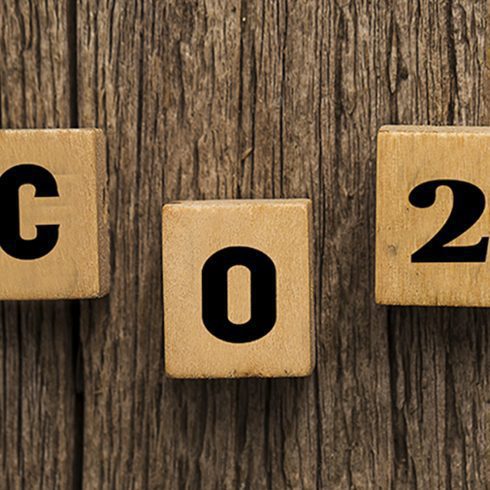 Día Mundial de la Reducción de Emisiones de CO2