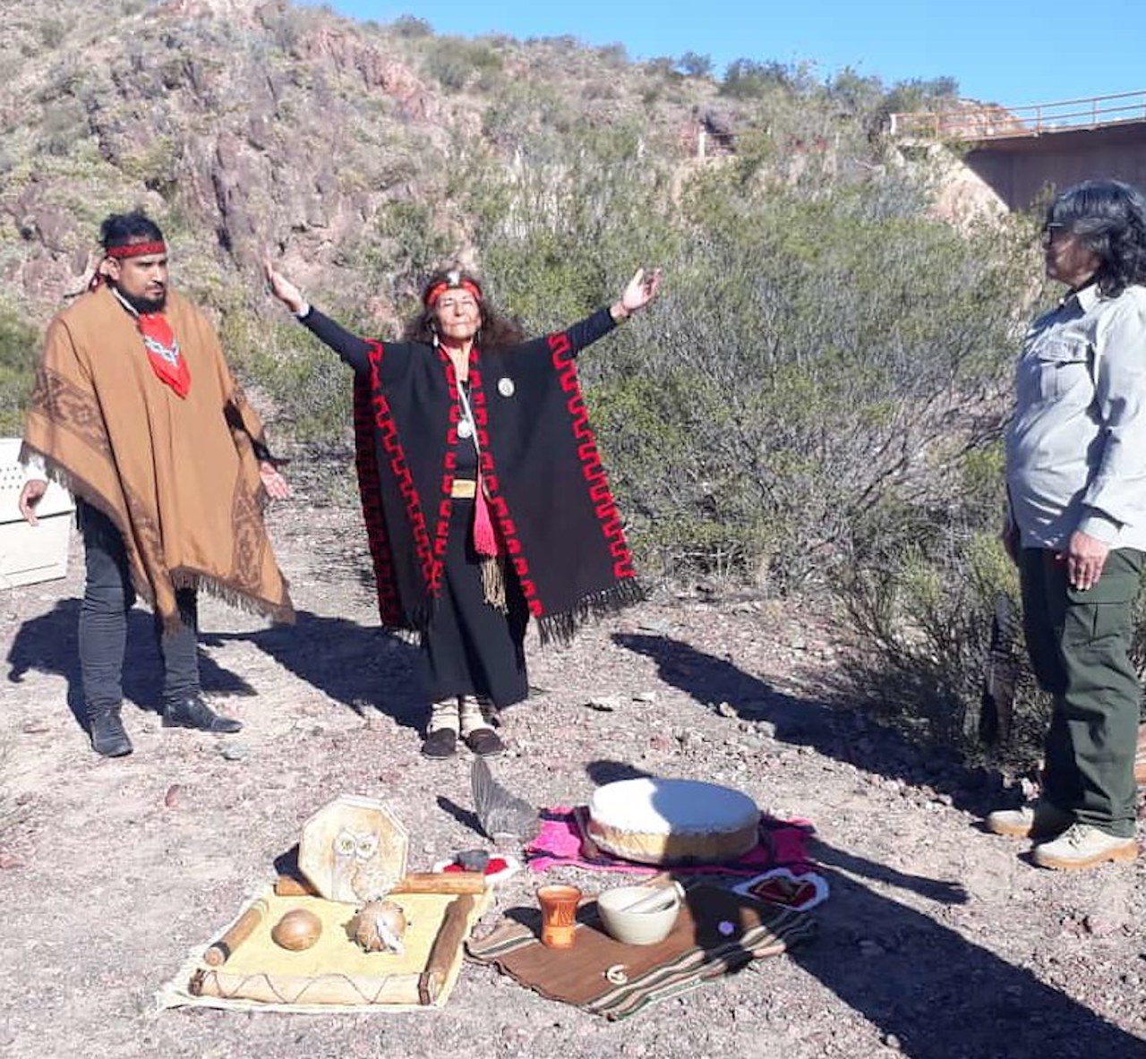 Cóndores andinos liberados con una ceremonia huarpe Noticias Positivas