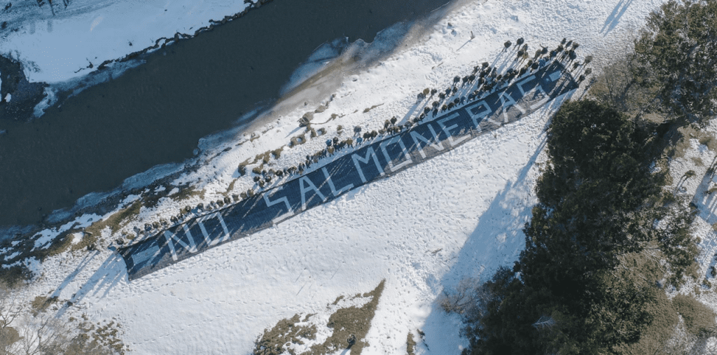 Tierra del Fuego le dijo NO a la salmonicultura